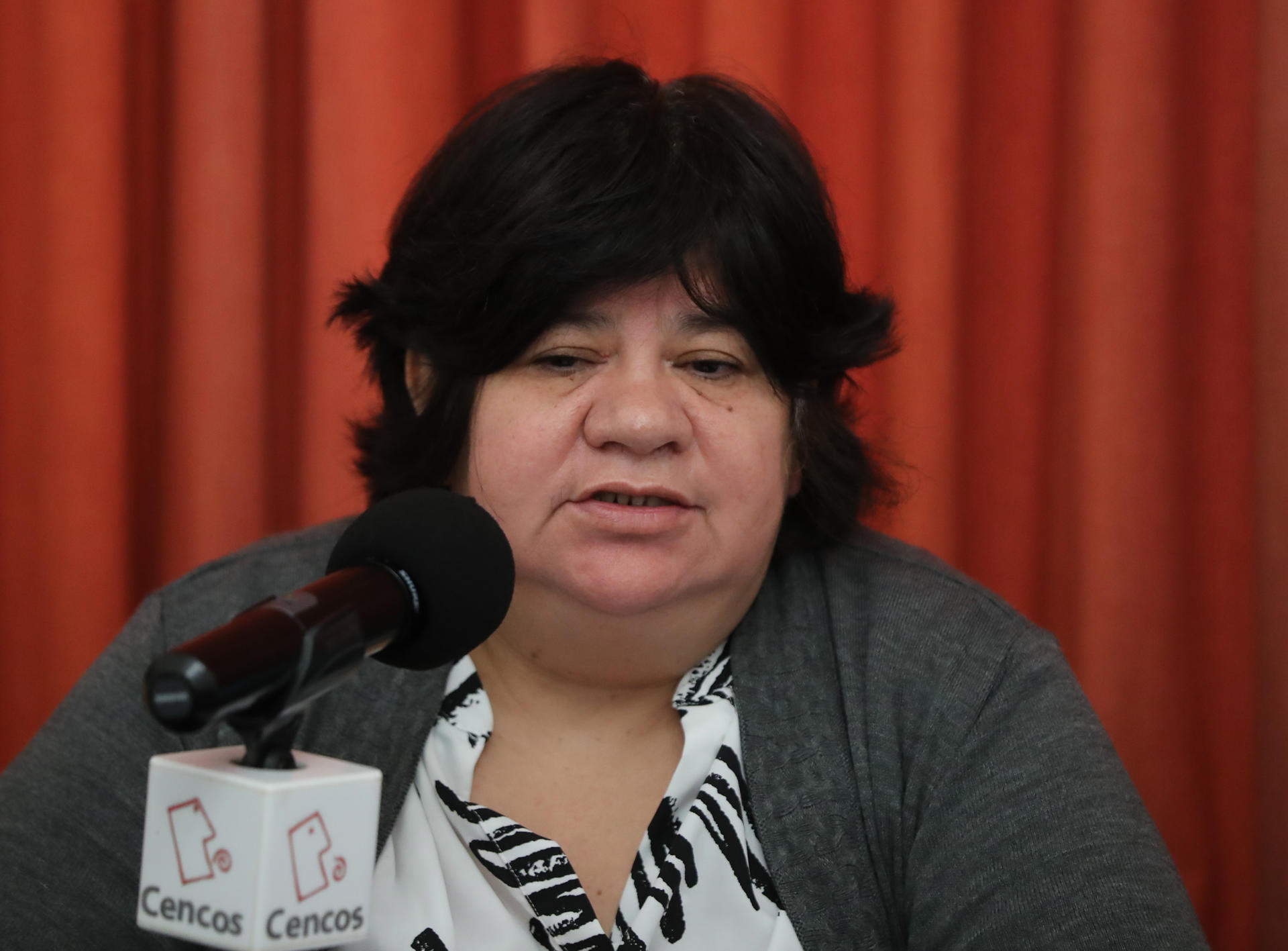La representantes de Observatorio Ciudadano Nacional del Feminicidio, Luz Estrada Mendoza participa durante una conferencia de prensa este lunes, en la Ciudad de México (México). EFE/ Mario Guzmán