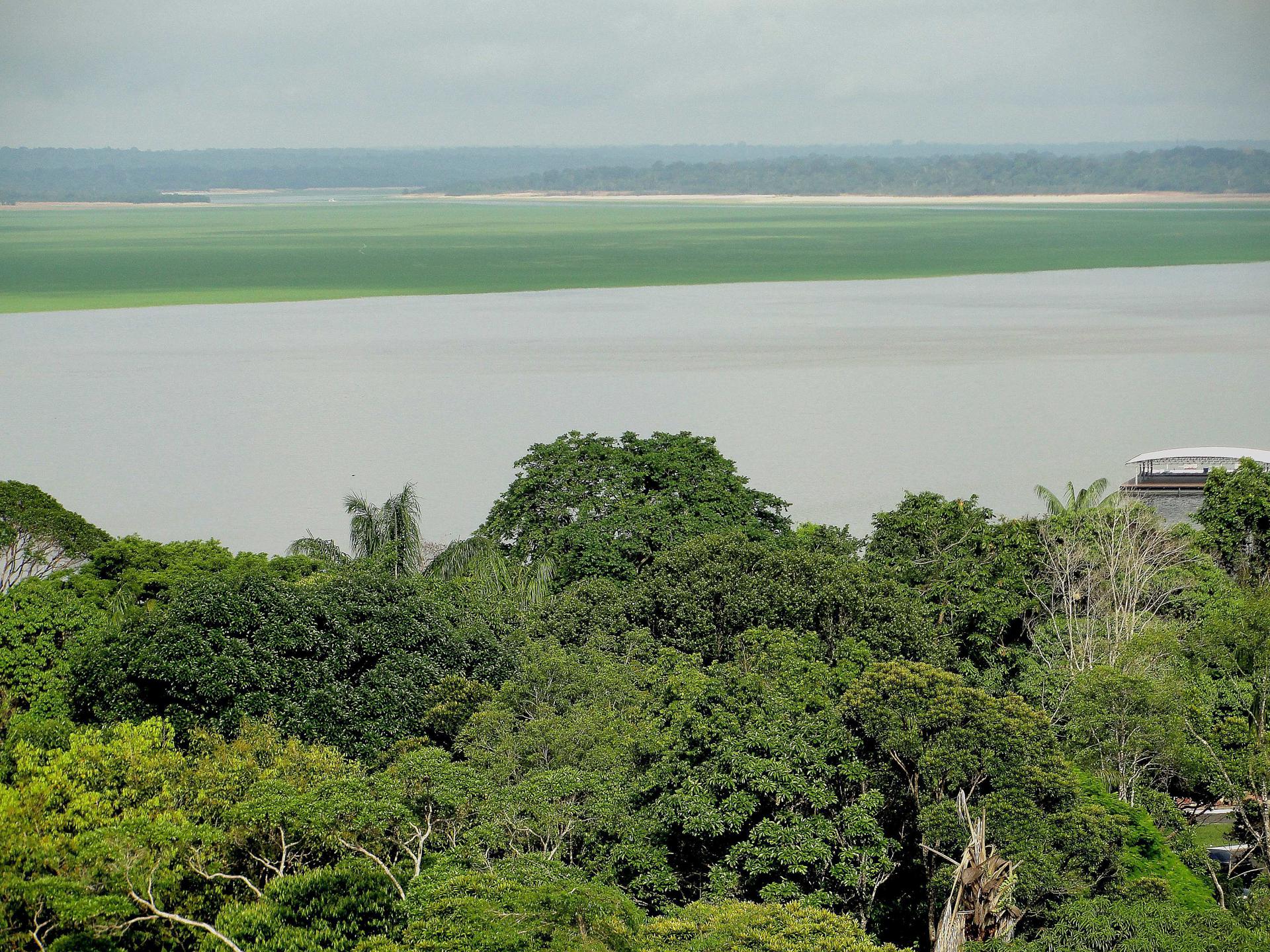 Fotografía de archivo de la Amazonía. EFE/ Marianna Wachelke /ARCHIVO