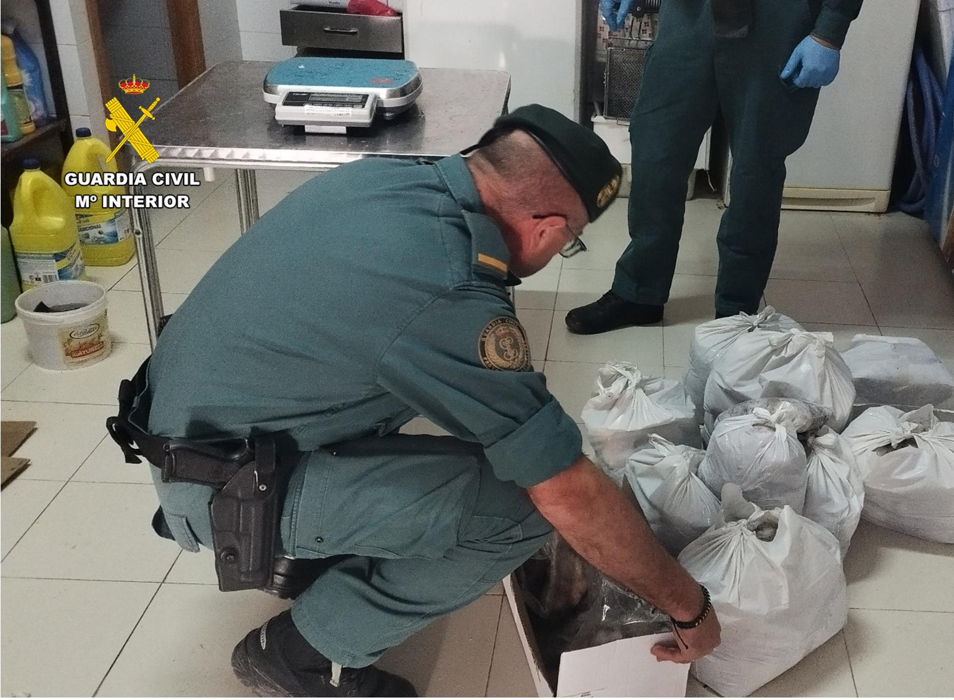 La Guardia Civil ha aprehendido, en dos actuaciones distintas, 250 kilogramos de pescado ilegal en menos de un mes en la localidad alicantina de Santa Pola, cuyos infractores se enfrentan a sanciones que pueden ascender hasta los 60.000 euros. En una de las intervenciones se requisaron 140 kilos de pulpo de roca inmaduro que pretendían sacar del puerto sin cumplir con los requisitos establecidos para su venta irregular, y en la otra 110 kilogramos de pulpo, gallina y morralla adquiridos de forma irregular por un establecimiento de restauración, según un comunicado del instituto armado. EFE/ Guardia Civil SOLO USO EDITORIAL/SOLO DISPONIBLE PARA ILUSTRAR LA NOTICIA QUE ACOMPAÑA (CRÉDITO OBLIGATORIO)