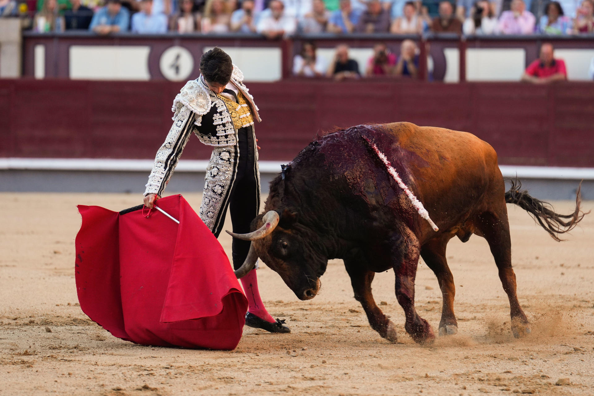 El diestro Sebastián Castella da un pase con la muleta al segundo de los de su lote, durante la corrida de la Feria de San Isidro celebrada este jueves en la plaza de toros de Las Ventas, en Madrid. EFE/Borja Sánchez-Trillo