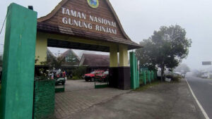LOMBOK (INDONESIA), 23/06/2025.- Los equipos de rescate de Indonesia buscan a una turista brasileña de 27 años que se precipitó el sábado por un barranco cuando escalaba el volcán Rinjani, en la isla de Lombok y de unos 3.700 metros de altura, un operativo que los socorristas describen como "extremo y desafiante". EFE/Basarnas / SOLO USO EDITORIAL/SOLO DISPONIBLE PARA ILUSTRAR LA NOTICIA QUE ACOMPAÑA (CRÉDITO OBLIGATORIO)