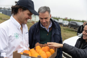 Fotografía cedida por la Presidencia de Uruguay de su mandatario Yamandú Orsi (c), durante la inauguración de la zafra citrícola este miércoles, en el departamento (provincia) de Salto (Uruguay). EFE/ Camilo Dos Santos Ayala / Presidencia de Uruguay/ SOLO USO EDITORIAL/SOLO DISPONIBLE PARA ILUSTRAR LA NOTICIA QUE ACOMPAÑA (CRÉDITO OBLIGATORIO)