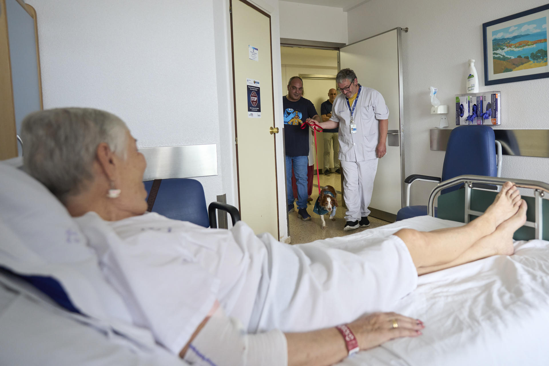 Los hospitales de la red sanitaria pública vasca de Vitoria han puesto en marcha una experiencia piloto para permitir que los pacientes, fundamentalmente de larga estancia y en cuidados paliativos, puedan recibir a sus mascotas ante la evidencia científica de los beneficios que ese contacto aporta. Los hospitales de Txagorritxu (imagen) y Santiago son los primeros del Sistema Vasco de Salud-Osakidetza en implantar esta medida que tiene como objetivo "humanizar" en lo posible la estancia de los enfermos en un entorno que puede resultar hostil como la habitación de un hospital. EFE/ Adrián Ruiz-Hierro