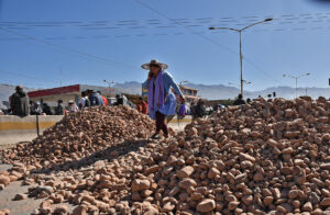 Una mujer fue captada este 2 de junio al pasar sobre un montículo de piedras, puestas por seguidores del exmandatario Evo Morales, que bloquean una carretera a la altura de la localidad de Sipe Sipe, en la región de Cochabamba (Bolivia). EFE/Jorge Ábrego