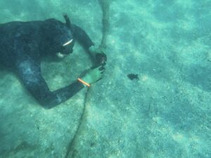 Fotografía cedida por el Instituto de Ciencias Agrícolas y Alimentarias de la Universidad de Florida (UF/IFAS) que muestra a Alex Romer fotografíando la vida marina en las aguas de Florida (EE.UU.). EFE/ Alex Romer