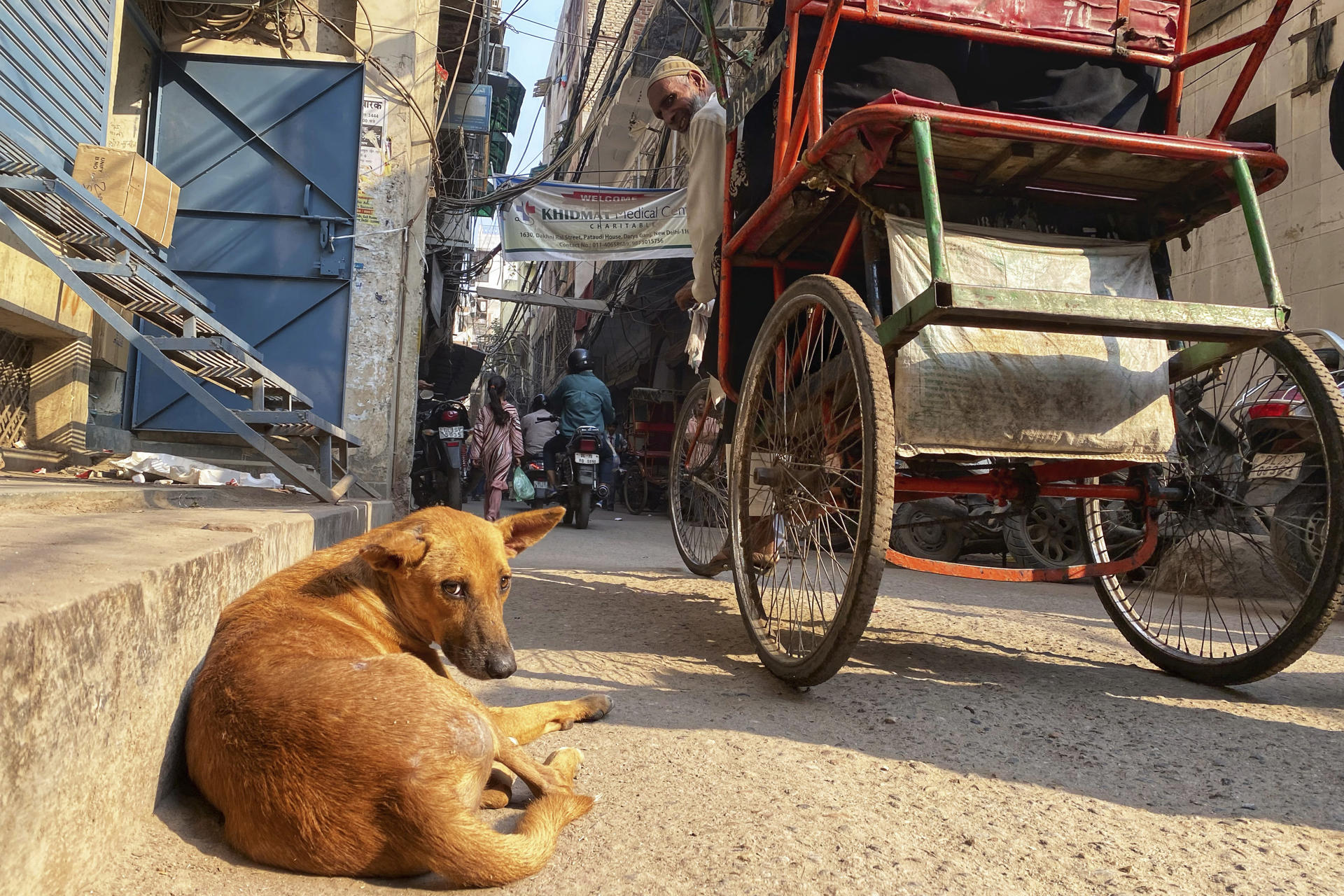 España está libre de rabia desde 1978, aunque esporádicamente se dan casos en animales en Ceuta y Melilla, y muy excepcionalmente, en humanos, todos ellos importados. EFE/ Indira Guerrero