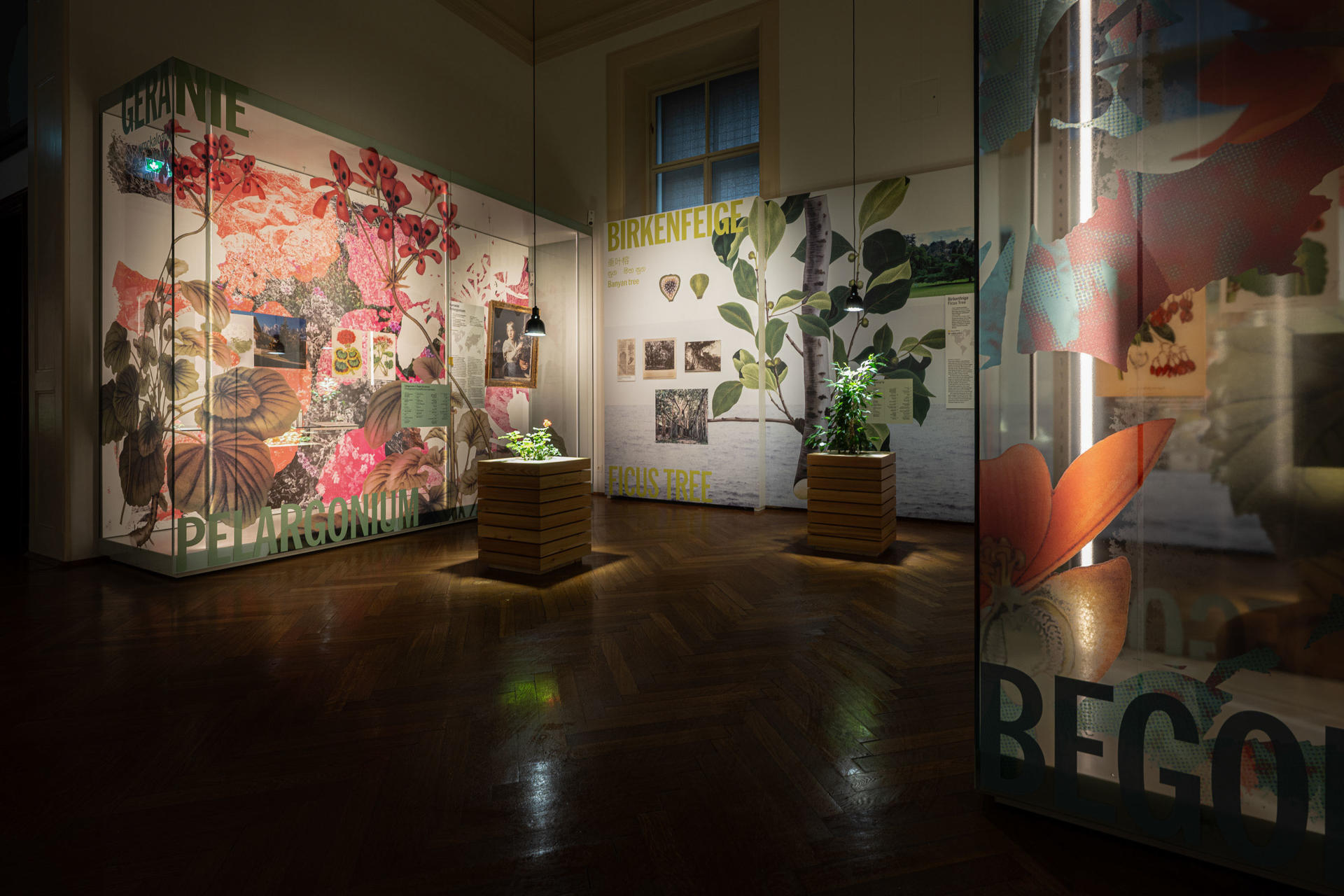 Vista de la exposición 'Colonialismo en el alféizar', abierta hasta el 25 de mayo de 2026 en el 'Weltmuseum' de Viena. EFE/Naturhistorisches Museum Wien"***SOLO USO EDITORIAL/SOLO DISPONIBLE PARA ILUSTRAR LA NOTICIA QUE ACOMPAÑA (CRÉDITO OBLIGATORIO)***