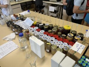Cada año se pierde en España entre el 30 y el 40% de colmenas: la varroa -un género de ácaros- es una de las causas más importantes del declive de las abejas. EFE/Lucía Pereda