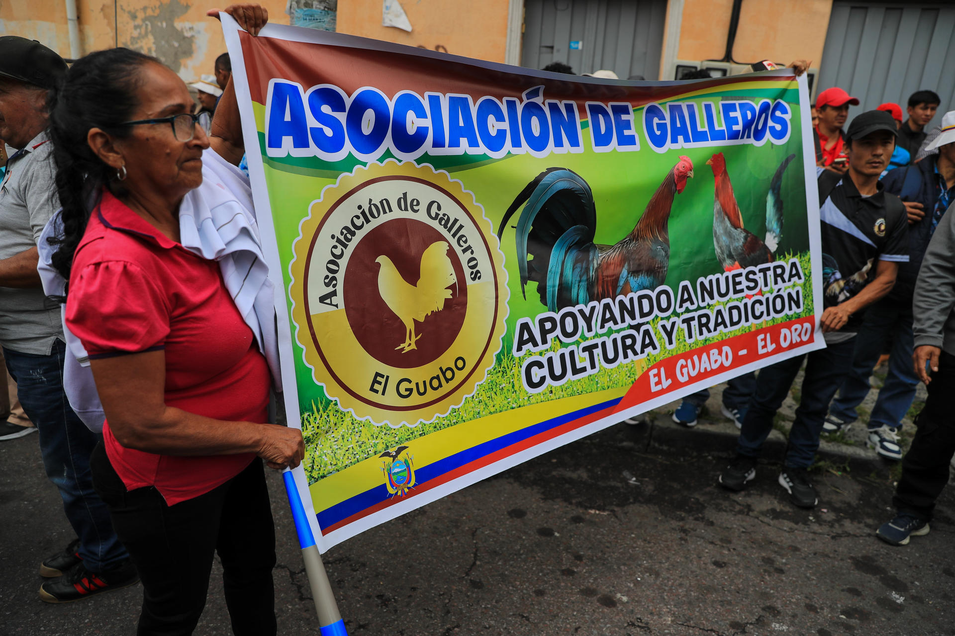 Personas sostienen carteles durante una manifestación por el debate de la Ley Orgánica para la Protección y Defensa de los Derechos de los Animales (Lopda), este martes, en Quito (Ecuador). EFE/ José Jácome