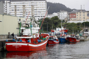 En la imagen de archivo, barcos boniteros de Burela (Lugo, España). EFE/Eliseo Trigo