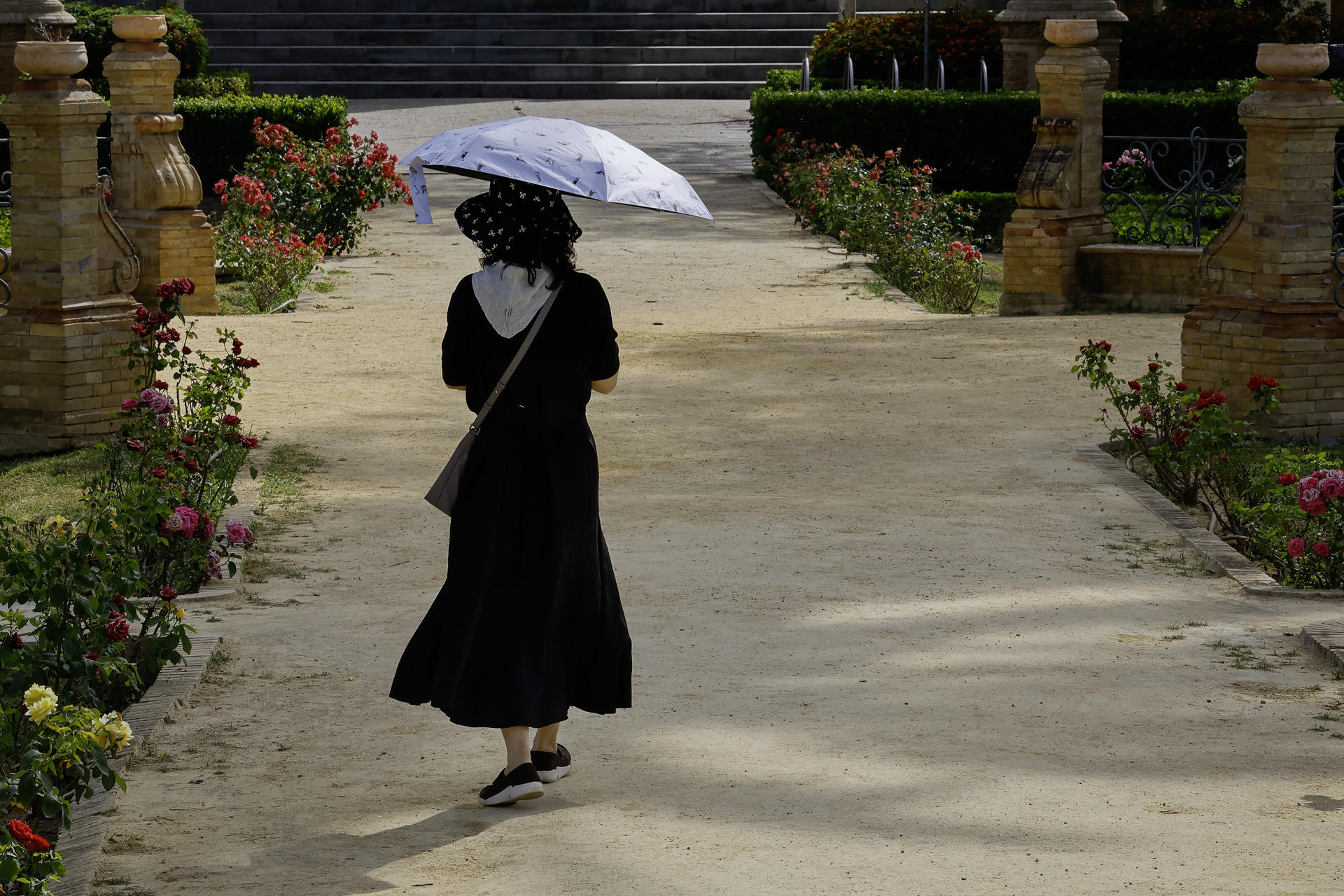 Una turista se resguarda del sol con una sombrilla en la Plaza de España de Sevilla este viernes con temperaturas extremas de hasta 40 grados en Andalucía inusual para el último fin de semana de mayo. EFE /Jose Manuel Vidal