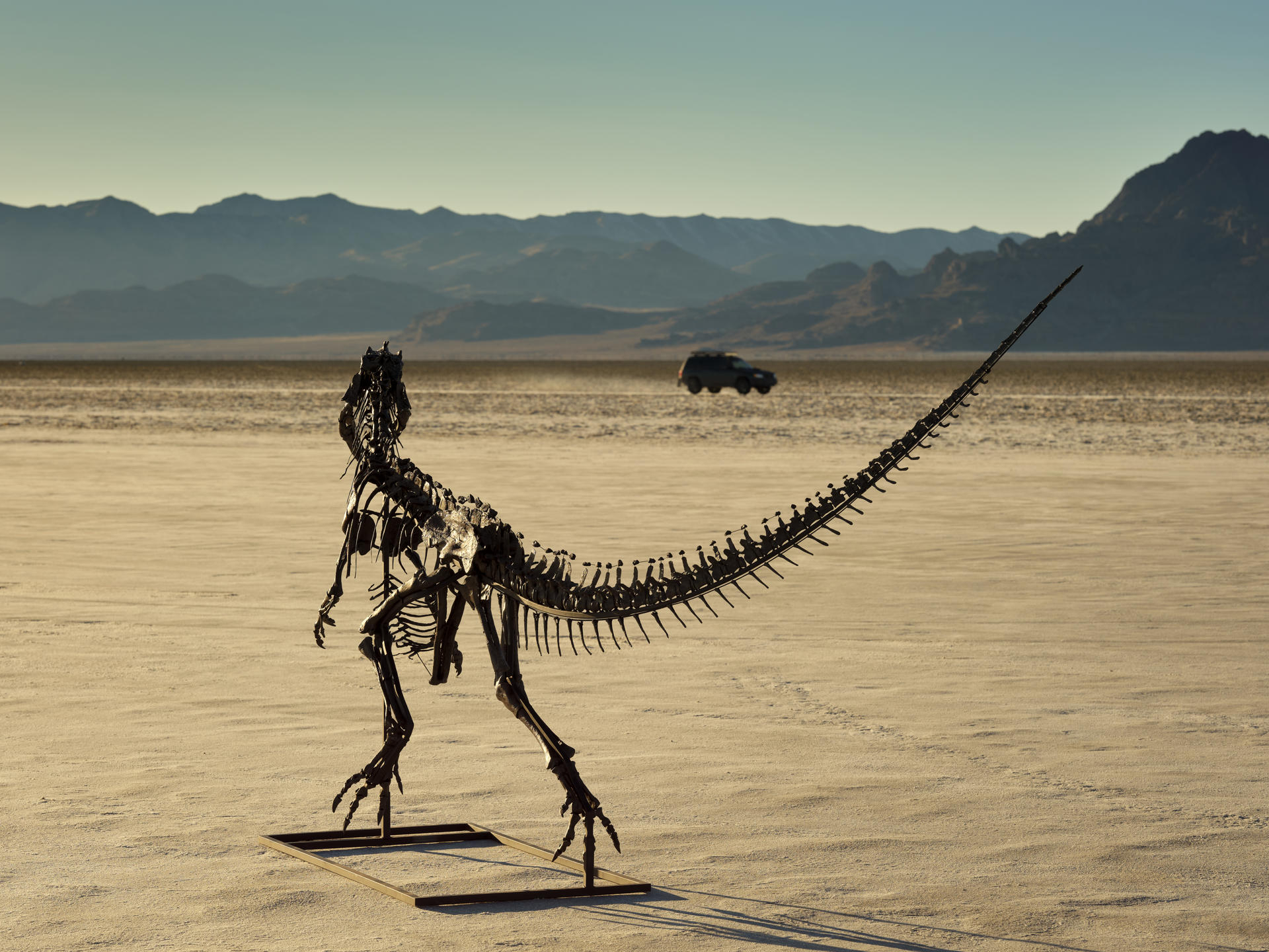 Fotografía cedida por Sotheby's que muestra el esqueleto de un dinosaurio Ceratosaurus, que será subastado en julio en Nueva York, al ser un único ejemplar juvenil conocido de esta especie de dinosaurio carnívoro que habitaba la Tierra hace unos 154-149 millones de años aproximadamente. EFE/ Matthew Sherman/ Sotheby's