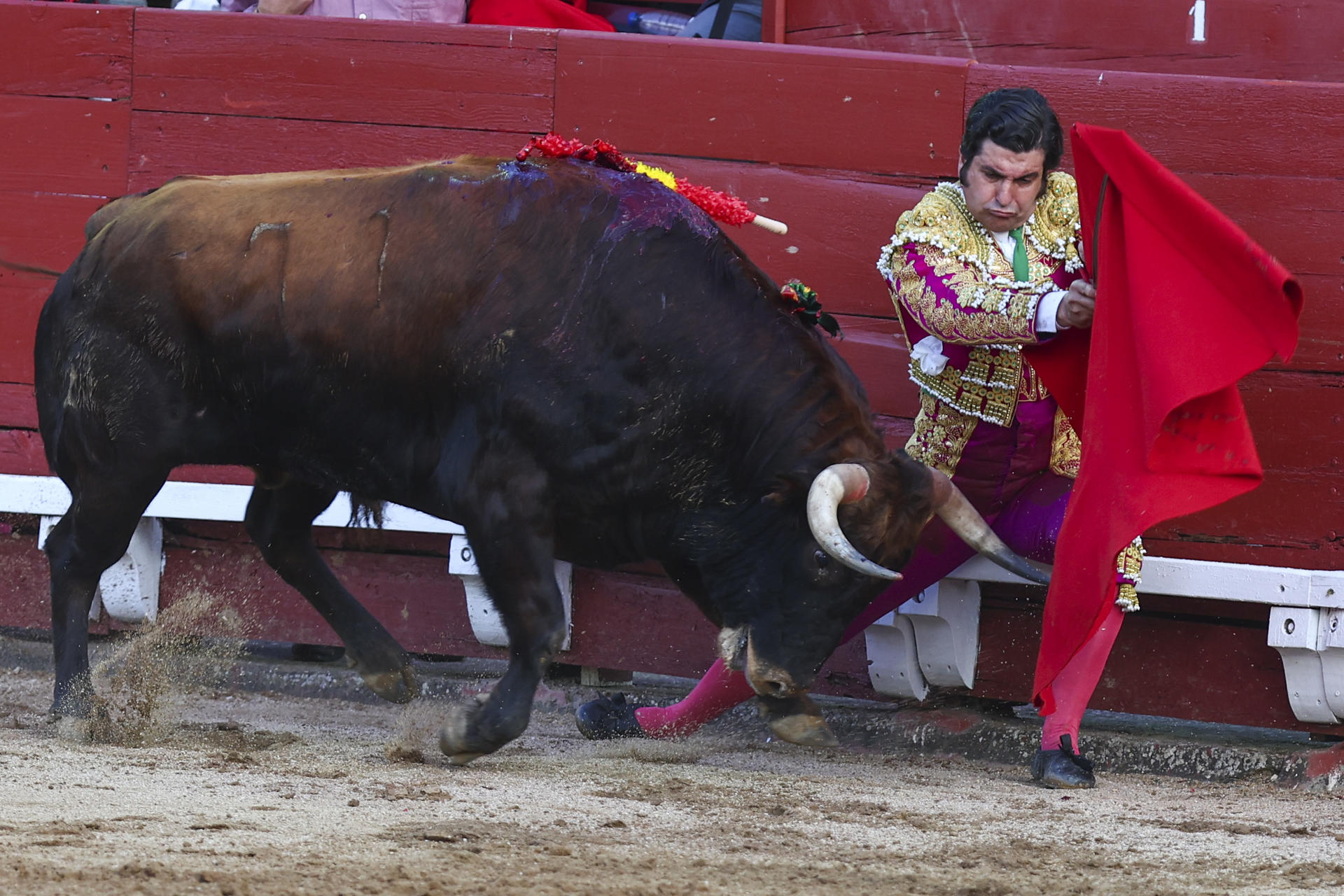 El diestro Morante de la Puebla en la lidia a su segundo astado durante al festejo taurino por el Corpus, este jueves en la plaza de toros de Toledo. EFE/ Ismael Herrero