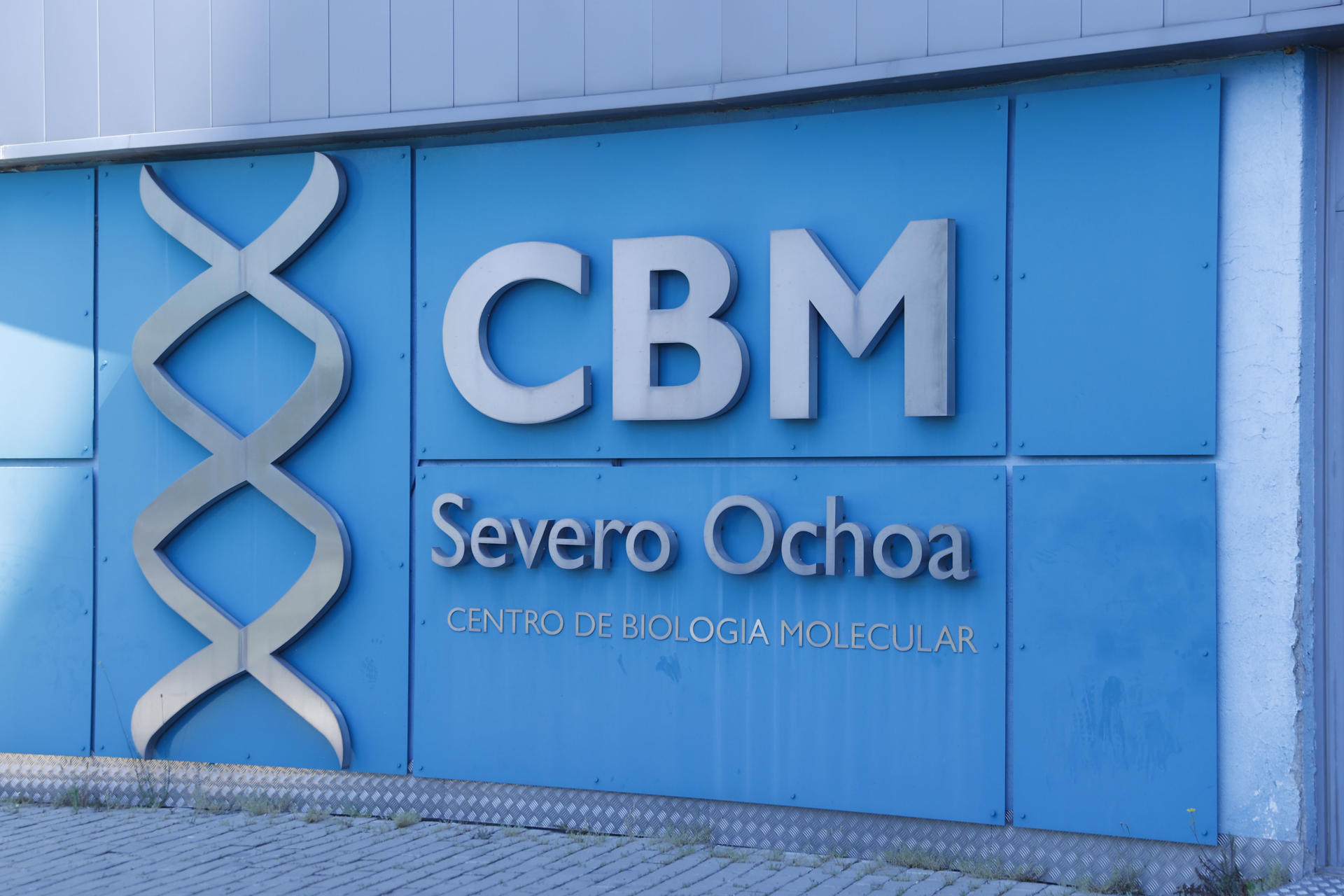 Los más de 500 científicos y cien grupos de investigación que suma en la actualidad han afianzado el Centro de Biología Molecular Severo Ochoa como uno de los mayores de España y una referencia a nivel mundial, cuando cumple medio siglo explorando las bases moleculares de la vida. Además de la labor investigadora que se desarrolla en sus imbricados laboratorios, el centro presta soporte a otros centros de investigación, universidades u hospitales, con servicios de microscopía óptica y electrónica, de bioinformática, de cultivo celular y de tejidos, o de edición genética, además de tener uno de los animalarios más completos de España para la experimentación bajo estrictos parámetros para asegurar la salud y el bienestar de los animales que se utilizan. EFE/ Oscar Guillen
