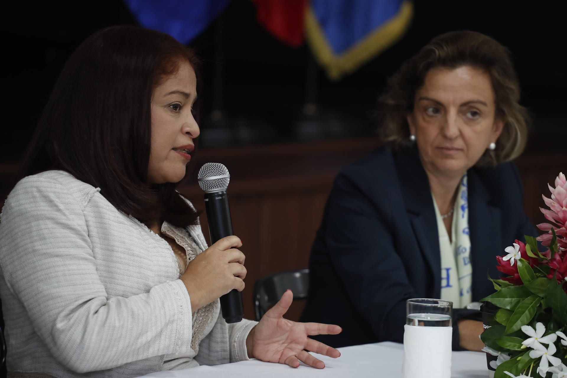 La ministra de turismo de El Salvador, Morena Valdéz (i), habla junto a la embajadora de España en El Salvador, Sonia Álvarez Cibanal, durante una reunión este lunes en la sede diplomática española, en San Salvador (El Salvador). EFE/Rodrigo Sura