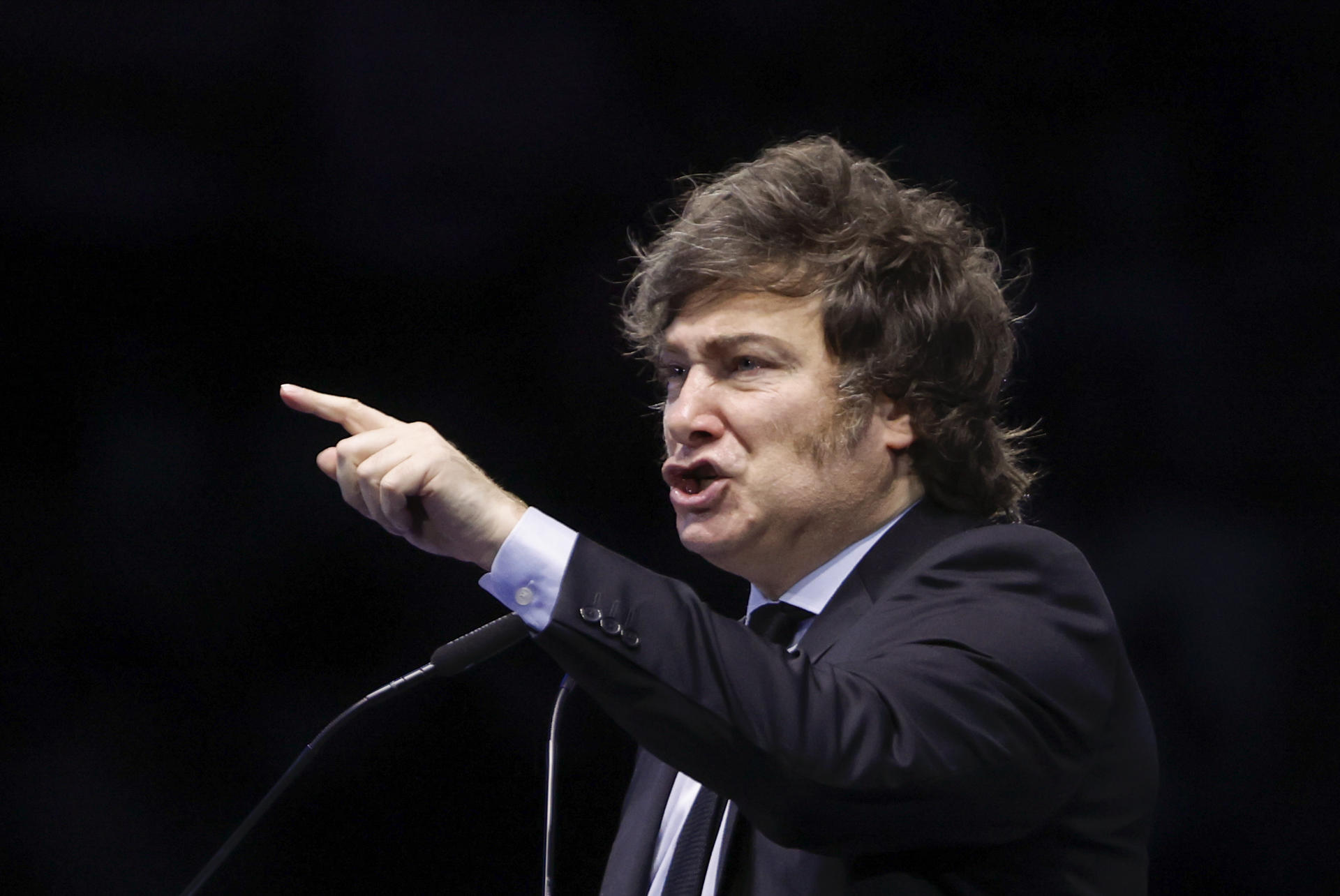Fotografía del 8 de junio de 2025 del presidente de Argentina, Javier Milei. EFE/Sergio Pérez