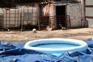 Imagen de archivo de una piscina hinchable en una de las infraviviendas del poblado de la Cañada Real, en Madrid. EFE/ Federico Segarra