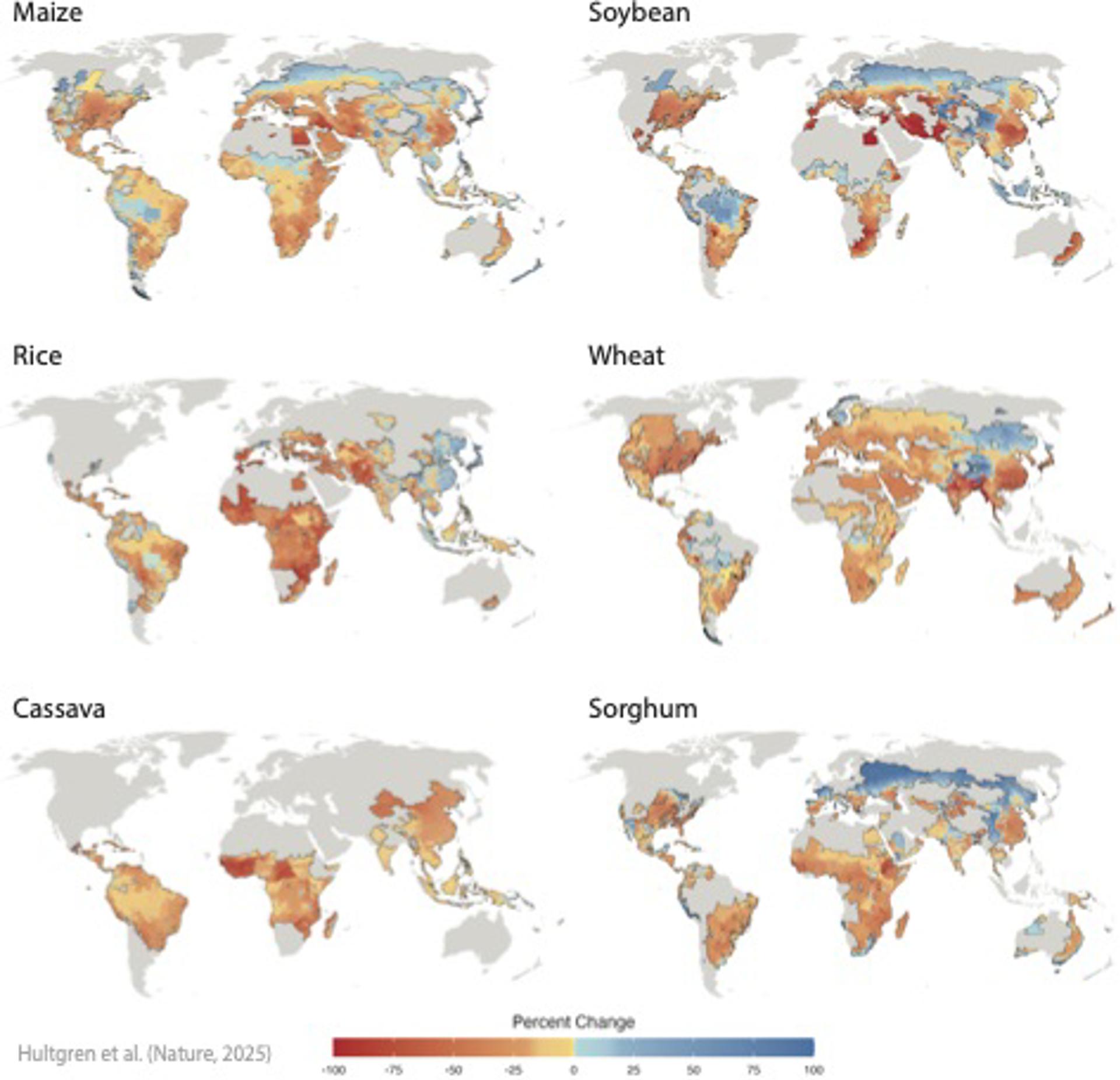 Variación prevista del rendimiento de los cultivos a finales de siglo como consecuencia del cambio climático en un escenario en el que las emisiones siguen siendo elevadas, teniendo en cuenta la adaptación al clima y el aumento de los ingresos. Crédito: Adaptado de Hultgren et al. (Naturaleza, 2025)
