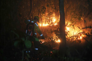 Fotografía de archivo de un voluntario trabajando para apagar un incendio forestal en Santa Cruz (Bolivia), en 2024. EFE/Luis Gandarillas/ARCHIVO
