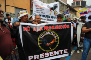 Personas sostienen carteles durante una manifestación por el debate de la Ley Orgánica para la Protección y Defensa de los Derechos de los Animales (Lopda), este martes, en Quito (Ecuador). EFE/ José Jácome
