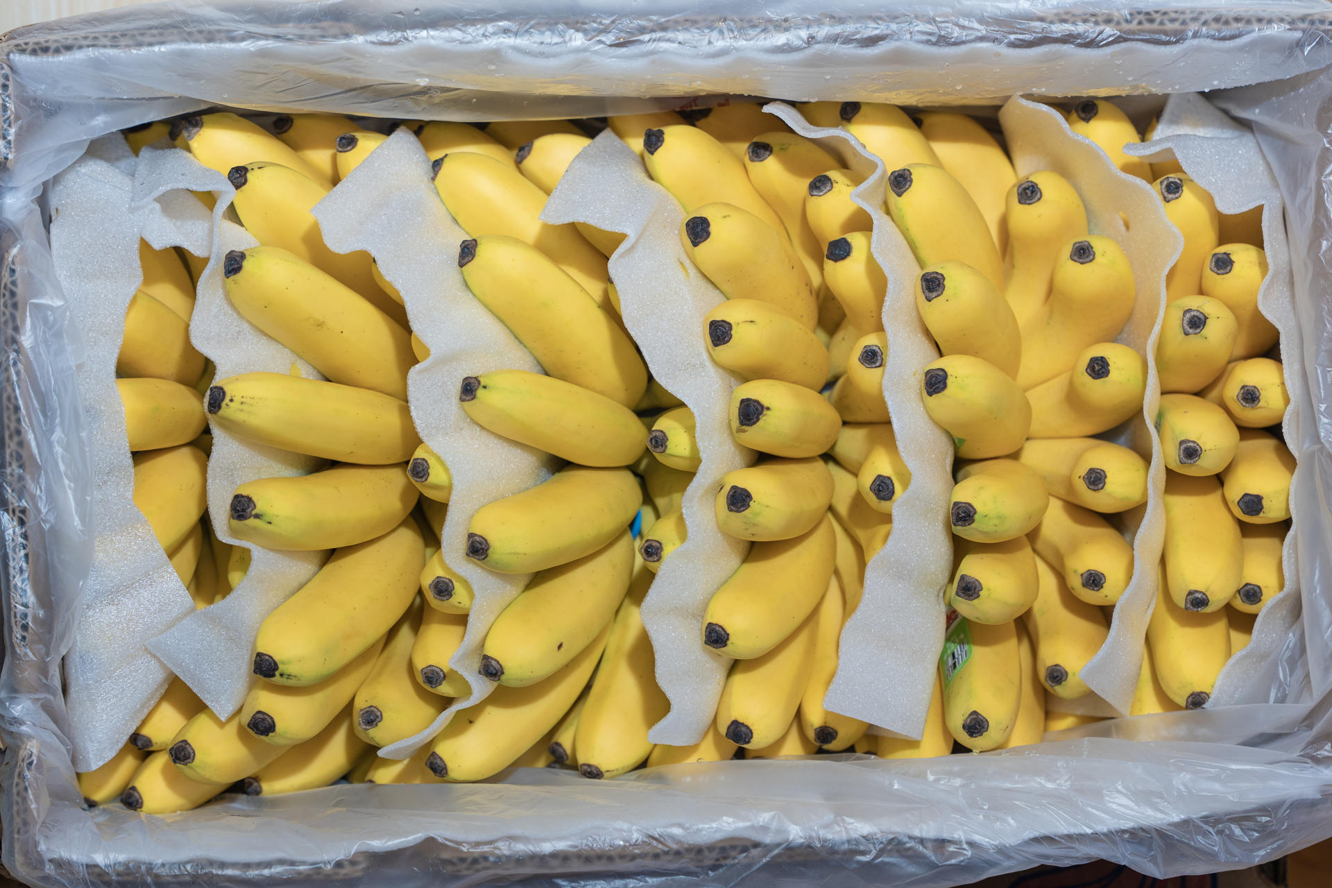 Fotografía de una caja de babanos de exportación exhibida en la convención 'Banana Time Machala 2025', que organiza la Asociación de Exportadores de Banano del Ecuador (AEBE) este martes, en Machala (Ecuador). EFE/ AEBE