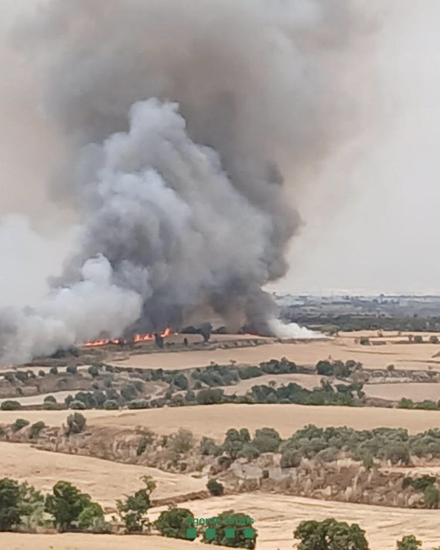El incendio de un vehículo que se encontraba junto a un campo sin segar ha desatado este sábado un fuego que ha afectado a unas 45 hectáreas de vegetación agrícola en el municipio leridano de Granyena de Segarra (Lleida). La Generalitat ha enviado una alerta a los teléfonos móviles de los vecinos de Cervera (Lleida) para ordenar su confinamiento preventivo por el incendio en el cercano municipio de Granyena de Segarra. EFE/Bomberscat -SOLO USO EDITORIAL/SOLO DISPONIBLE PARA ILUSTRAR LA NOTICIA QUE ACOMPAÑA (CRÉDITO OBLIGATORIO)-