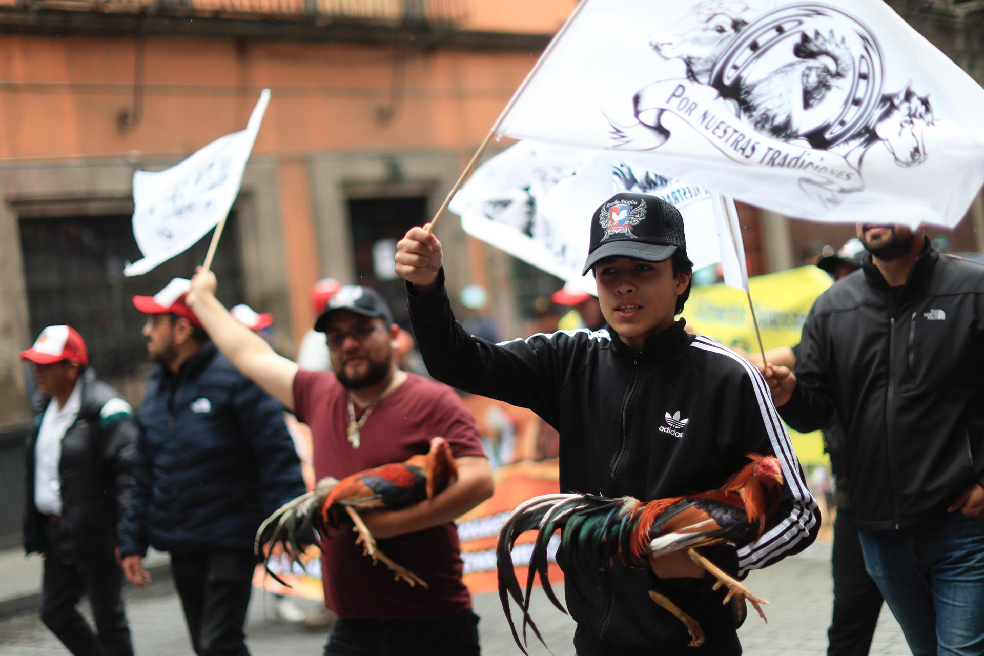Personas participan en una manifestación contra la prohibición de las peleas de gallos este jueves, en Ciudad de México (México). EFE/Sáshenka Gutiérrez