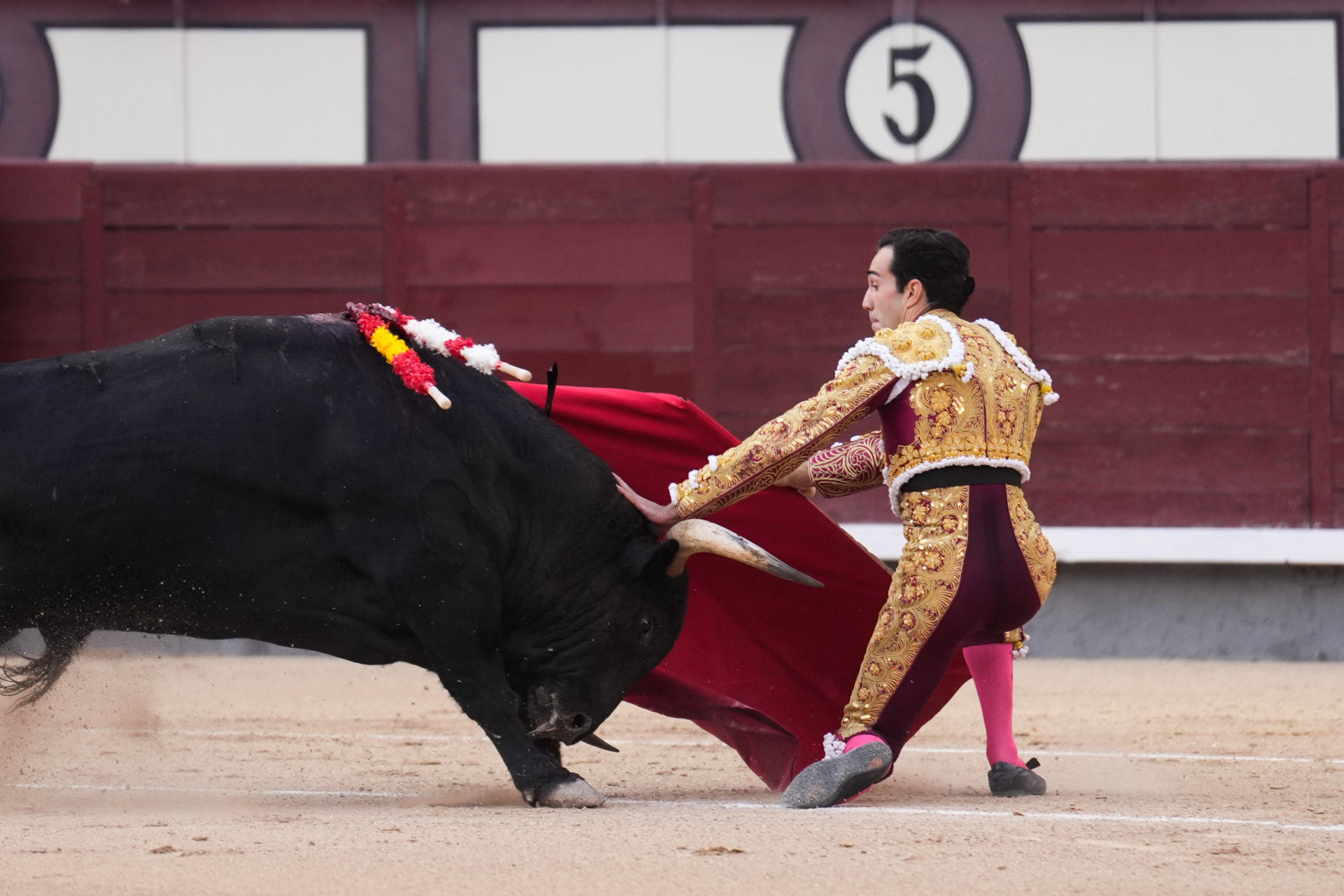 El torero Tomás Rufo da un pase a su toro, durante la corrida de toros con reses de El Parralejo en la que encabeza el cartel junto a Miguel Ángel Perera y Fernando Adrián.- EFE/ Borja Sanchez-Trillo