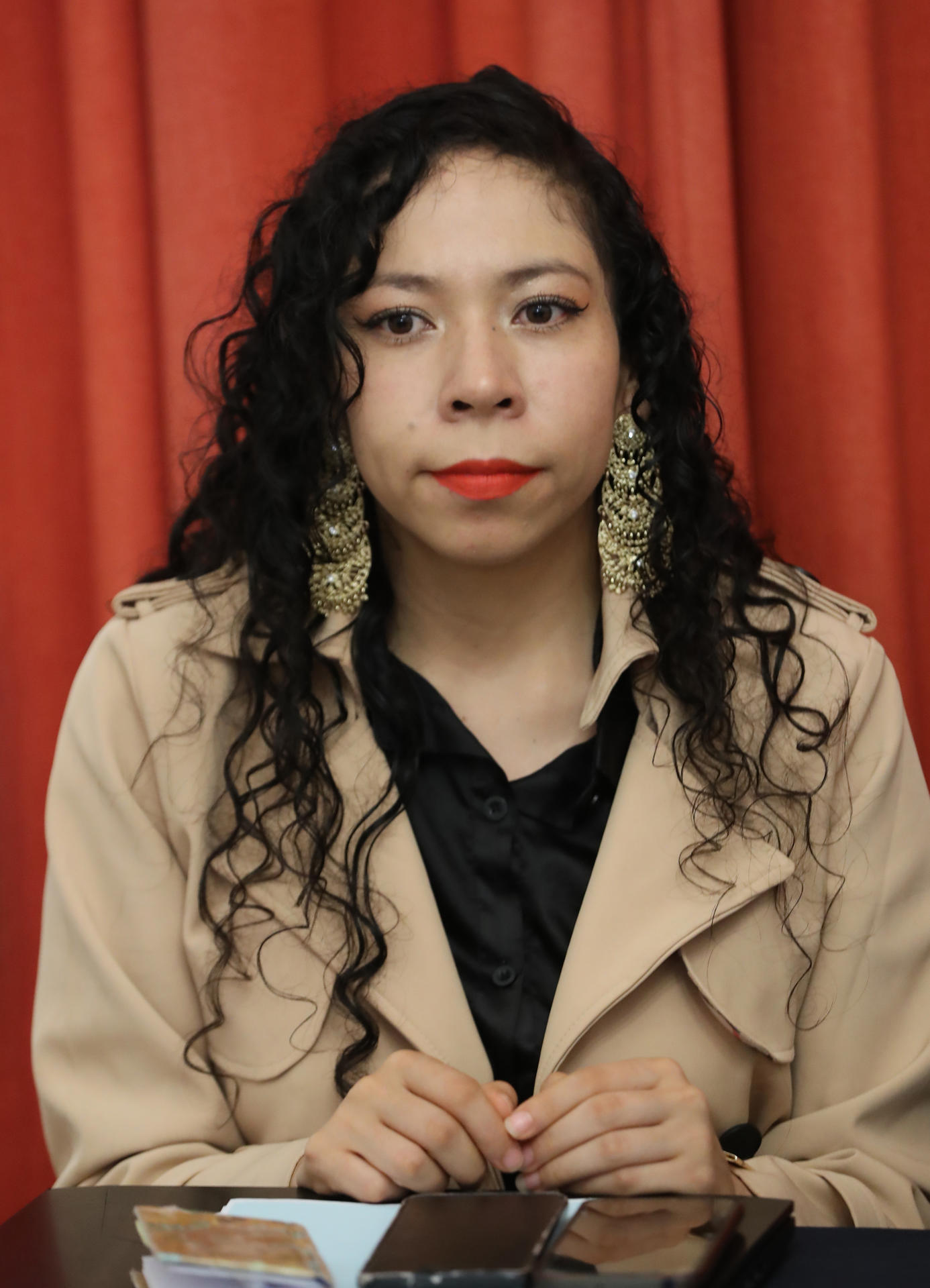 La representante de la RED TDT, Sandra Suaste Ávila, habla durante una conferencia de prensa este lunes, en la Ciudad de México (México). EFE/ Mario Guzmán