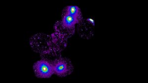 Una imagen muestra el nuevo filamento, que conecta cuatro cúmulos de galaxias: dos en un extremo y dos en el otro. Los cúmulos son visibles como puntos brillantes en la parte inferior y superior del filamento (cuatro puntos blancos rodeados de color). Crédito: ESA/XMM-Newton and ISAS/JAXA