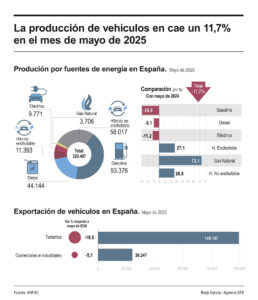 Infografía de la producción de vehículos en España en mayo. EFE