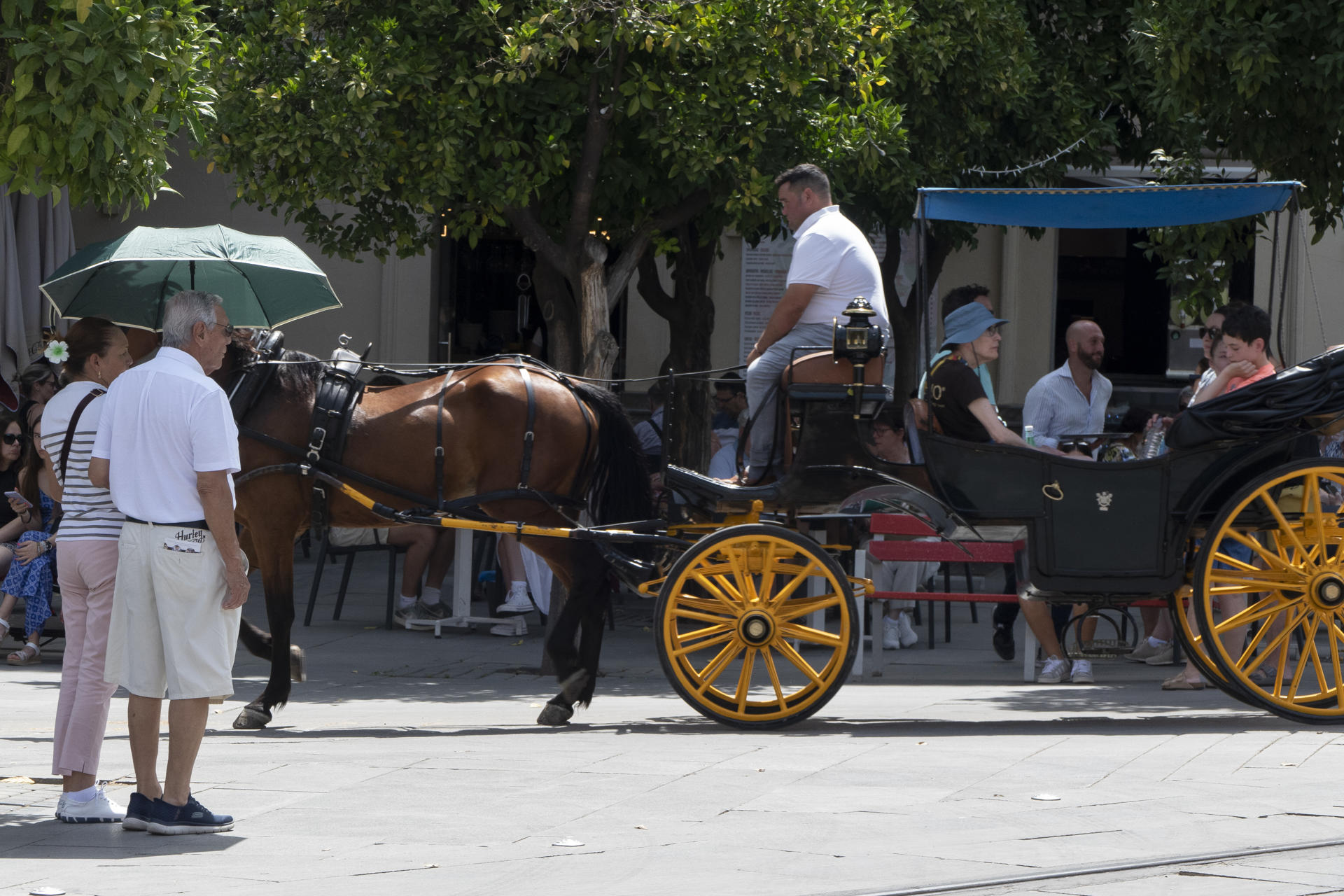 Una pareja se protege del sol este sábado en Sevilla. El verano ha comenzado a las 04.42 horas y lo hace con calor intenso, de más de 40 grados en puntos del sur peninsular, aunque en el Cantábrico va a la baja, en el comienzo de un cambio de tiempo por el acercamiento, este domingo, de una dana que dejará máximas ligeramente más bajas. EFE/ David Arjona