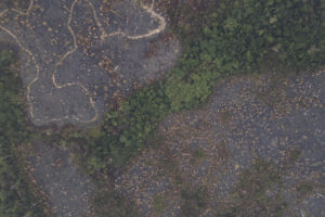 Fotografía aérea de archivo que muestra una zona quemada en la Amazonía. EFE/ Isaac Fontana