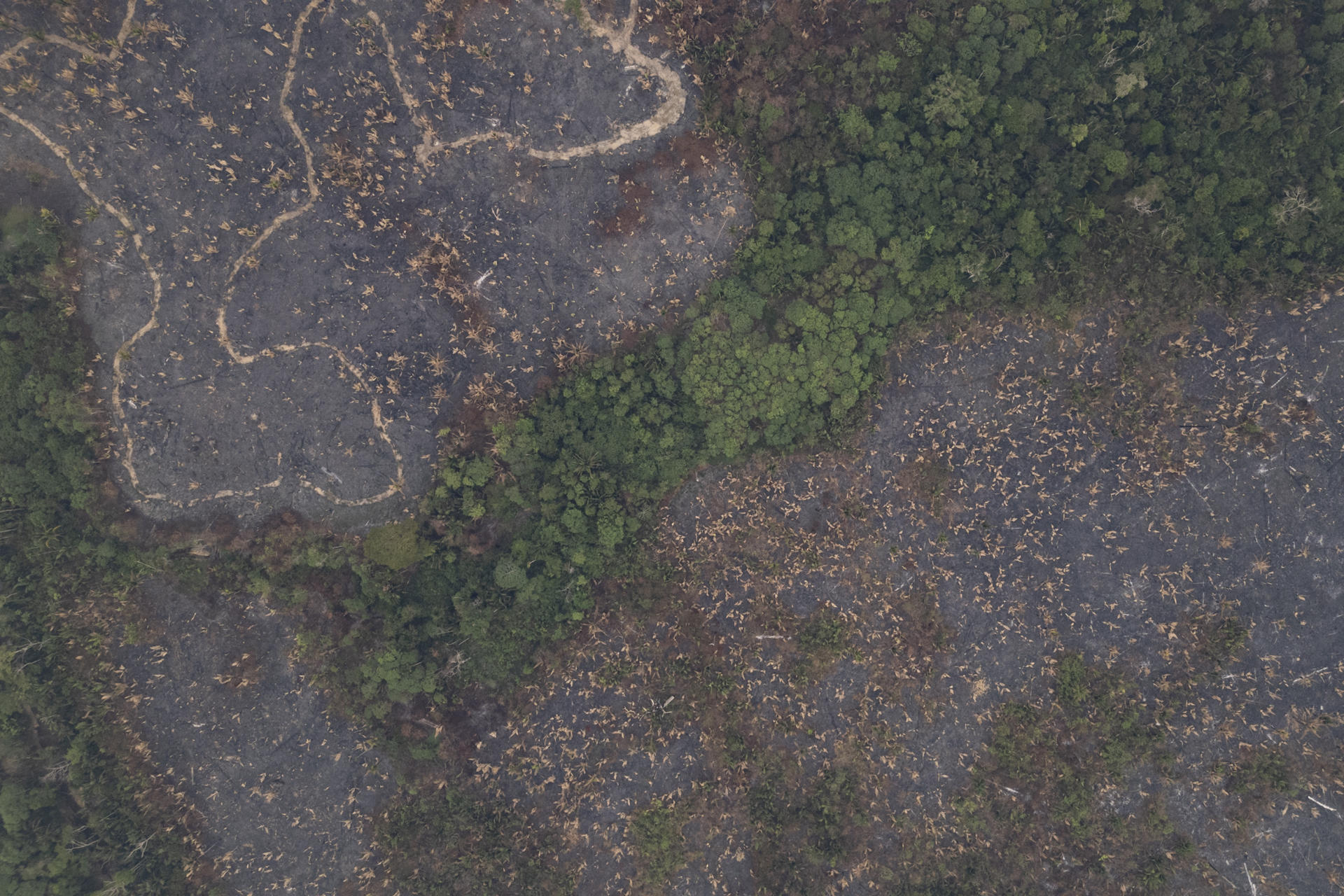 Fotografía aérea de archivo que muestra una zona quemada en la Amazonía. EFE/ Isaac Fontana