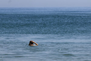 Un hombre toma un baño en la playa de El Saller de Valencia, este miércoles. EFE/Kai Forsterling