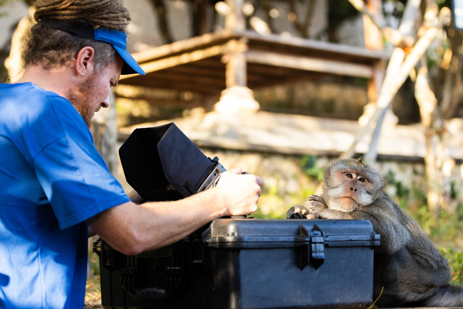 Fotograma cedido por National Geographic donde aparece el director de fotografía Tom Beldam al lado de un macaco de cola larga durante una escena del capítulo titulado 'Los sospechosos inusuales' de la nueva serie 'Underdog'. EFE/Laura Pennafort/National Geographic