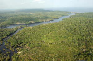 Imagen de archivo de una vista general de una área selvática cercana a Manaos, en la Amazonía (Brasil). EFE/ Marcelo Sayão