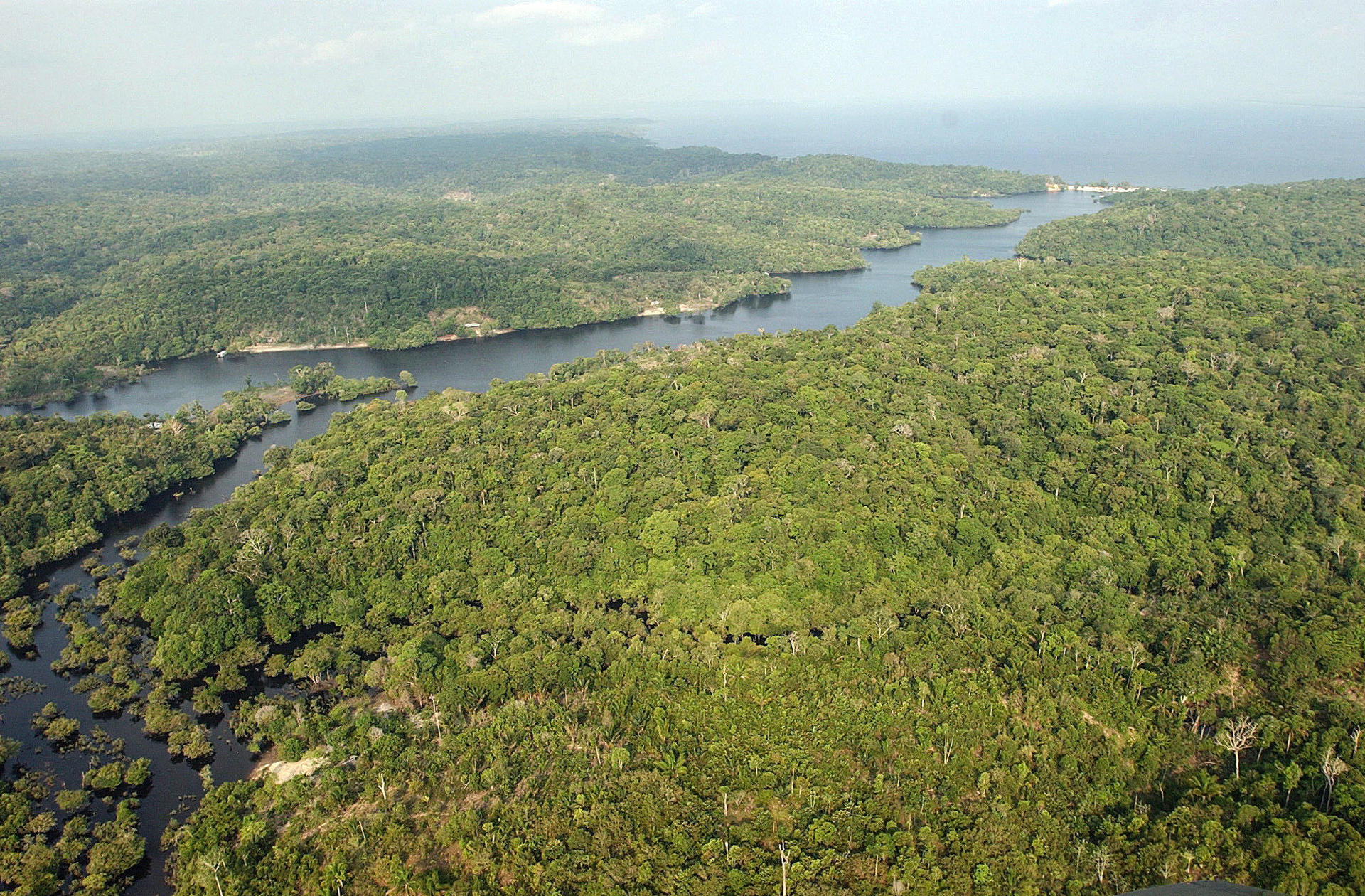 Imagen de archivo de una vista general de una área selvática cercana a Manaos, en la Amazonía (Brasil). EFE/ Marcelo Sayão