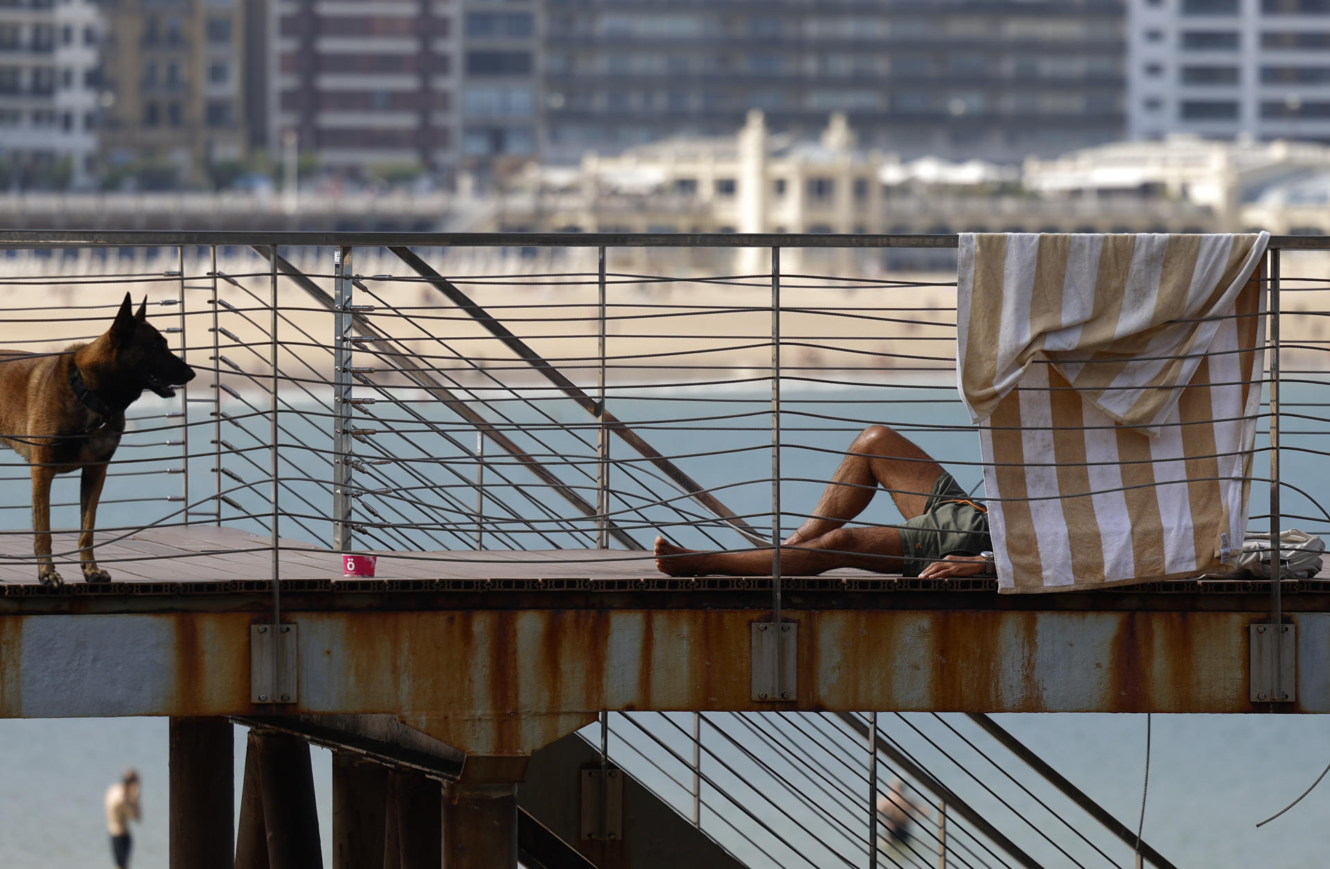 Un hombre toma el sol acompañado de su perro este martes en la pasarela del Club Naútico de San Sebastián. EFE/Juan Herrero.
