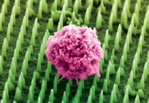 Imagen coloreada de nanoagujas. Crédito: Chippani/King's College London
