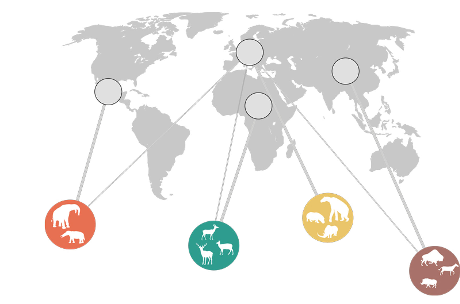 Mapa que muestra la red mundial de funciones ecológicas entre grandes herbívoros. Imagen: Museo Nacional de Ciencias Naturales (MNCN/CSIC)