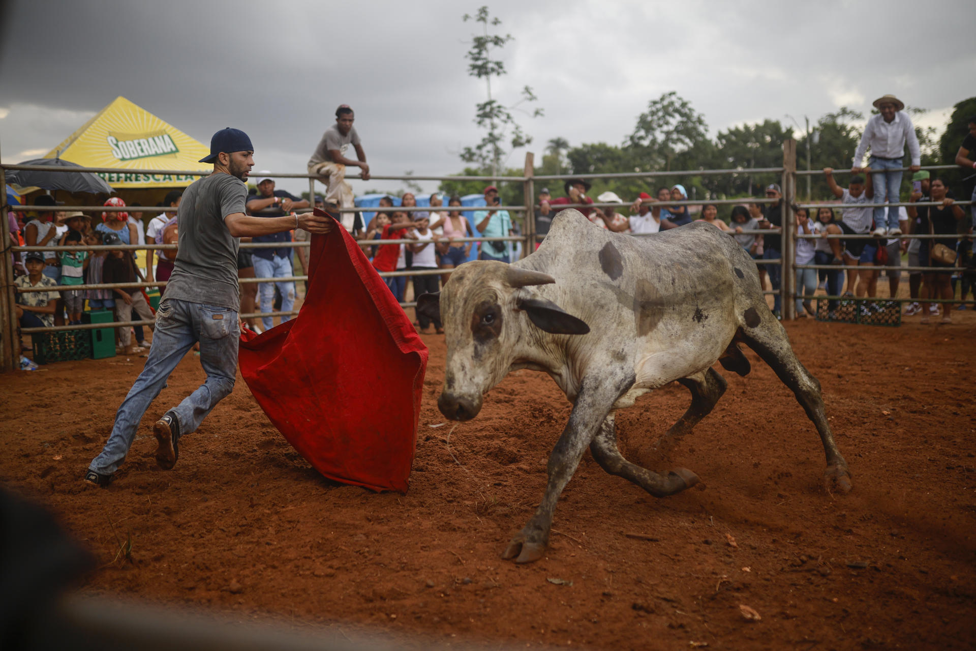 Un hombre lidia un toro este 8 de junio de 2025, durante una corrida de toros en el festival folclórico en La Chorrera (Panamá). EFE/ Bienvenido Velasco