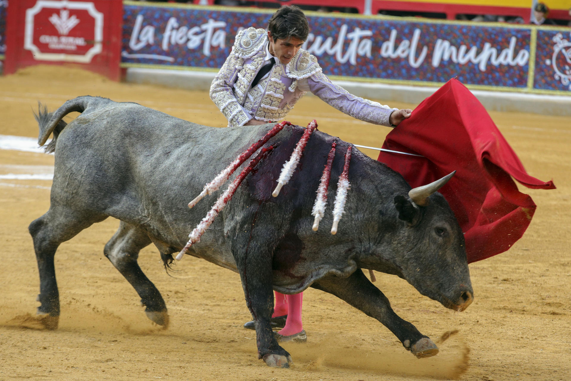 El diestro francés Sebastián Castella durante el festejo taurino de las Fiestas del Corpus Christi celebrado este sábado en la monumental El Frascuelo de Granada. EFE/Pepe Torres.
