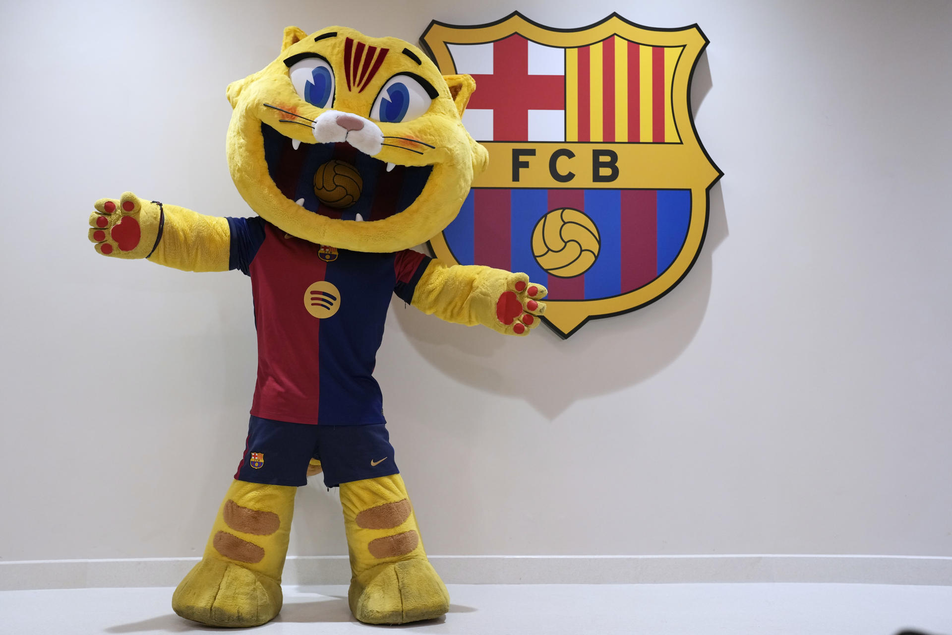 Tiene solo siete meses de vida y CAT, la mascota que el FC Barcelona creó para conmemorar su 125 aniversario, ha revolucionado al barcelonismo, como si del último gran fichaje mediático se tratara, y también las redes, con más de 2,6 millones de seguidores entre Tiktok e Instagram. EFE/Alejandro Garcia