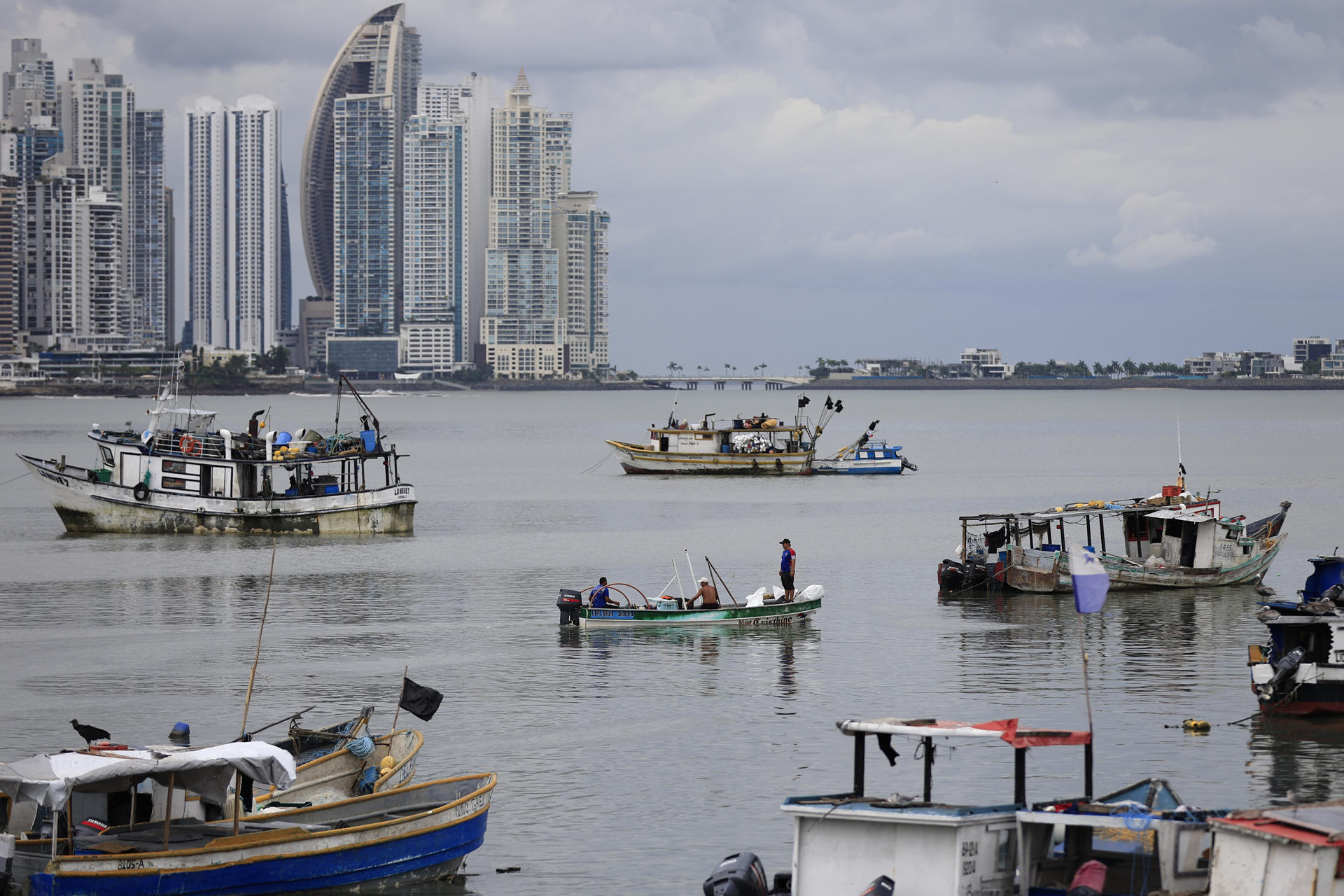 Pescadores trabajan este jueves, en el muelle pesquero multipropósito en ciudad de Panamá (Panamá). EFE/ Bienvenido Velasco