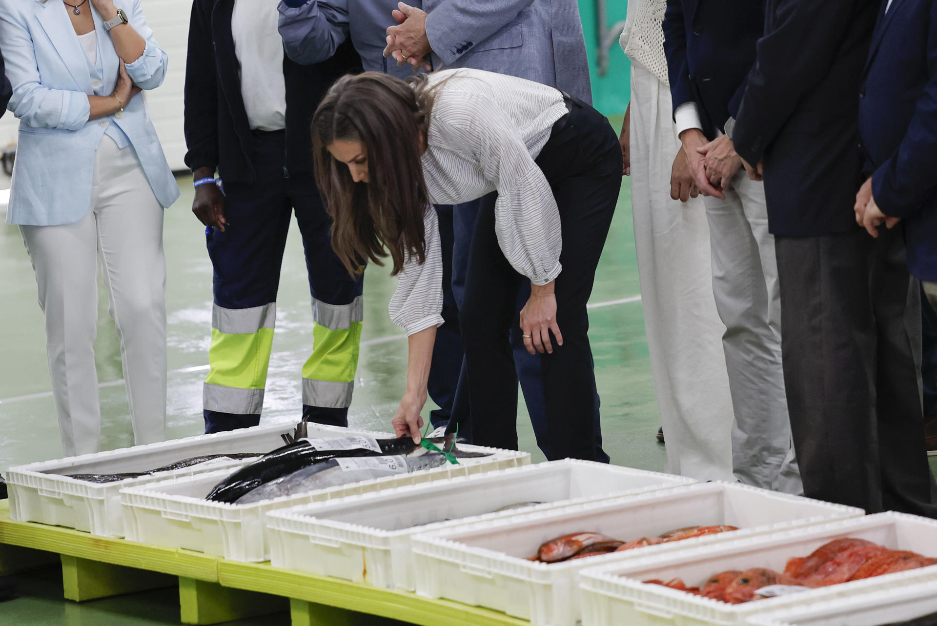 La reina Letizia observa parte de la mercancía recién pescada en Burela (Lugo) durante su participación en la subasta de la lonja en el marco de su visita a la localidad para interesarse de primera mano por la realidad del sector pesquero de A Mariña lucense. EFE/ Lavandeira Jr.