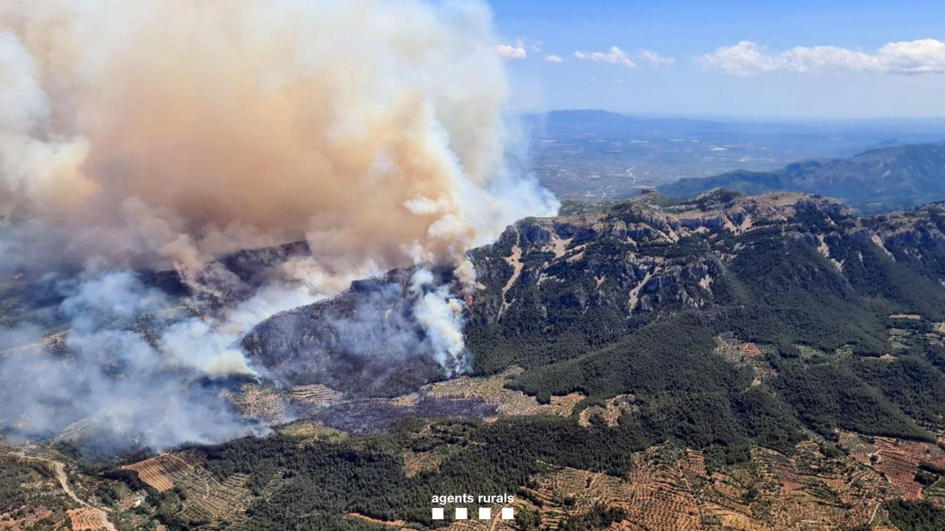 El incendio forestal de Paüls (Tarragona) ya afecta a una superficie de unas 150 hectáreas, el 80 % dentro del Parque Natural de Els Ports, según datos provisionales de los Agentes Rurales, y a causa del fuego, la carretera TV-3541 entre Paüls y Xerta, está cortada en ambos sentidos. EFE/Agents Rurals ***SÓLO USO EDITORIAL/SOLO USO PERMITIDO PARA ILUSTRAR LA NOTICIA QUE APARECE EN EL PIE DE FOTO*** (CRÉDITO OBLIGATORIO)
