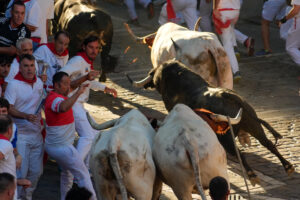 Los mozos son perseguidos por toros de la ganadería Victoriano del Río Cortés durante el cuarto encierro de los Sanfermines, este jueves, en Pamplona. EFE/Ainhoa Tejerina