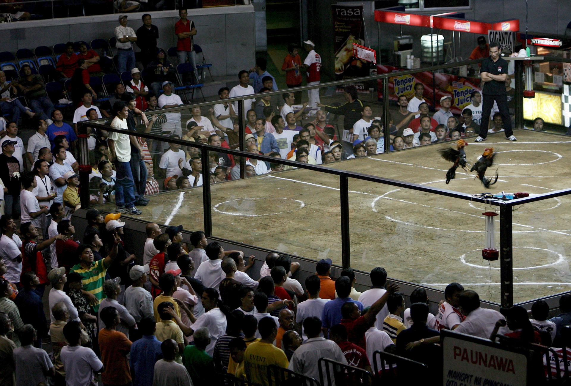 Fotografía de archivo, tomada el 29/01/08, que muestra a espectadores en una pelea de gallos en los suburbios de Manila, Filipinas. EFE/Rolex Dela Pena