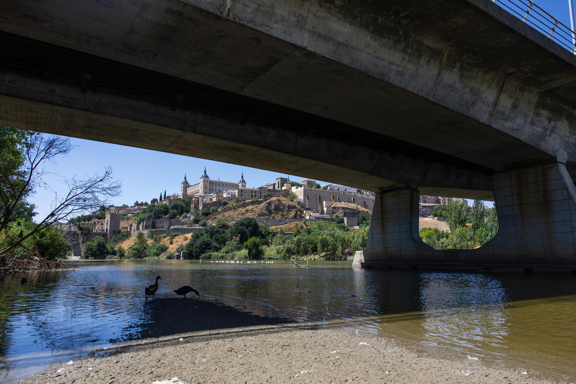 Vista del estado del río Tajo a su paso por Toledo este jueves. El presidente de Castilla-La Mancha, Emiliano García-Page, ha avanzado que su Gobierno emprenderá acciones judiciales si el Estado no toma medidas para poner fin al "incomprensible retraso" en la aprobación de las normas de explotación del trasvase Tajo-Segura. EFE/ Ángeles Visdómine